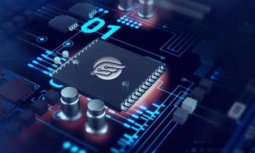 創(chuàng)業(yè)張江 物聯網領域的 后浪 芯翼信息科技勢頭正勁